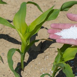 Fertilizer